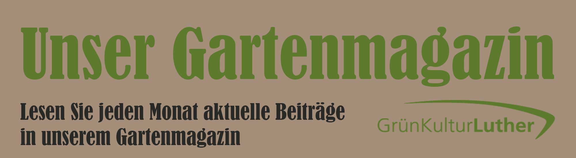 Gartenmagazin GrünKultur Luther