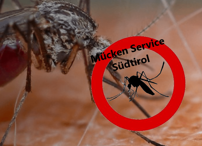 Mücken Service Südtirol