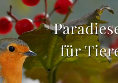 Paradies fuer Tiere - Wildstraeucher - Hecken