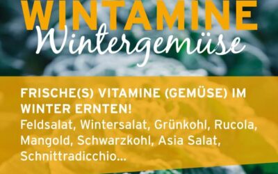 Vitamine Wintergemüse