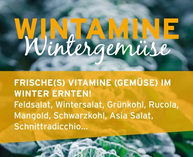 Vitamine Wintergemüse